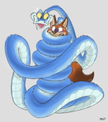 Shedding Preconceptions